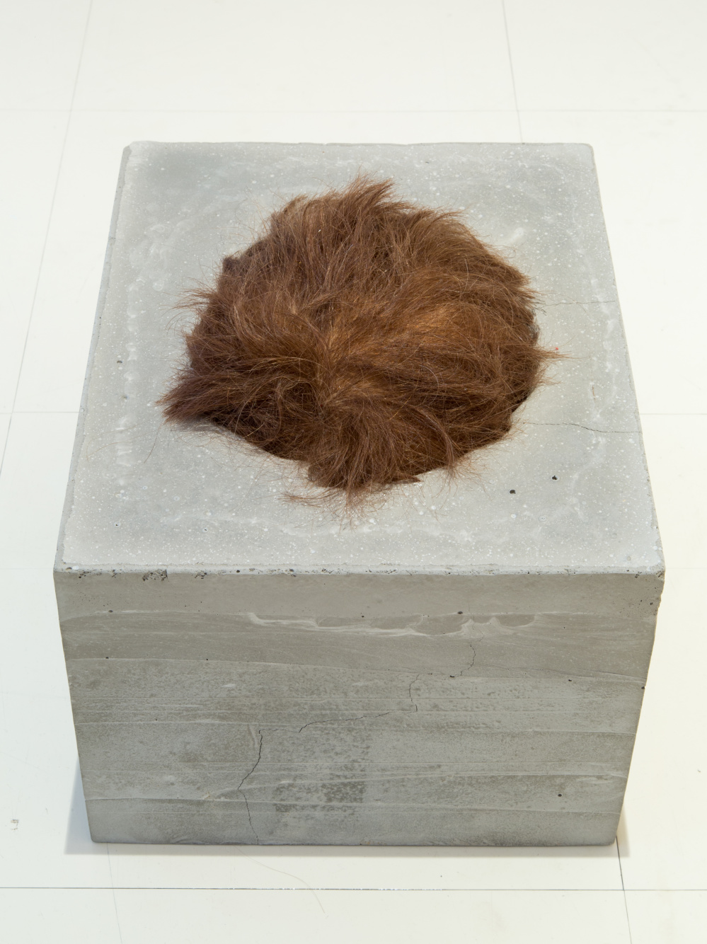 Installationsansicht, Stadtgalerie Saarbrücken, Gianfranco Foschino, Moris, 2015, Foto: Kuschnir Installationsansicht, Stadtgalerie Saarbrücken, Gianfranco Foschino, Moris, 2015, Foto: Kuschnir