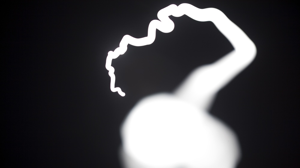 Takehito Koganezawa, Moon drawing, 2009, Fotografie Takehito Koganezawa, Moon drawing, 2009, Fotografie