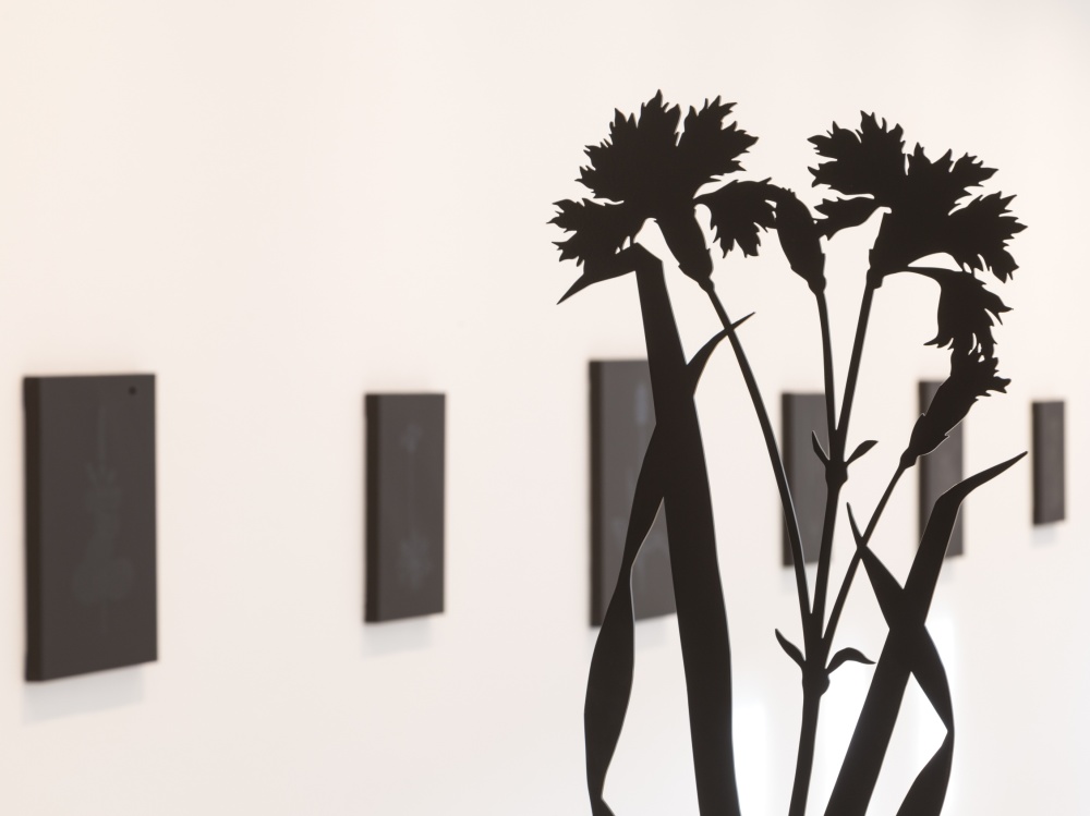 Stadtgalerie Saarbrücken, Installationsansichten, Paul Morrison, Black Grass, 2017, Foto: Anton Minayev Stadtgalerie Saarbrücken, Installationsansichten, Paul Morrison, Black Grass, 2017, Foto: Anton Minayev