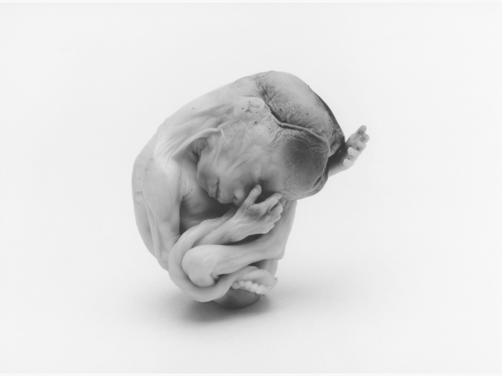 Manabu Yamanaka, "Wukong Mang Mang Ran Nr. 7", 2004, 74 x 104 cm, (c) Manabu Yamanaka Manabu Yamanaka, "Wukong Mang Mang Ran Nr. 7", 2004, 74 x 104 cm, (c) Manabu Yamanaka