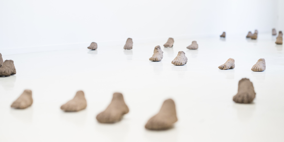 Carolina Fonseca: Terredad, souvenir heureux de nos métamorphoses, 2021, Installation Carolina Fonseca: Terredad, souvenir heureux de nos métamorphoses, 2021, Installation