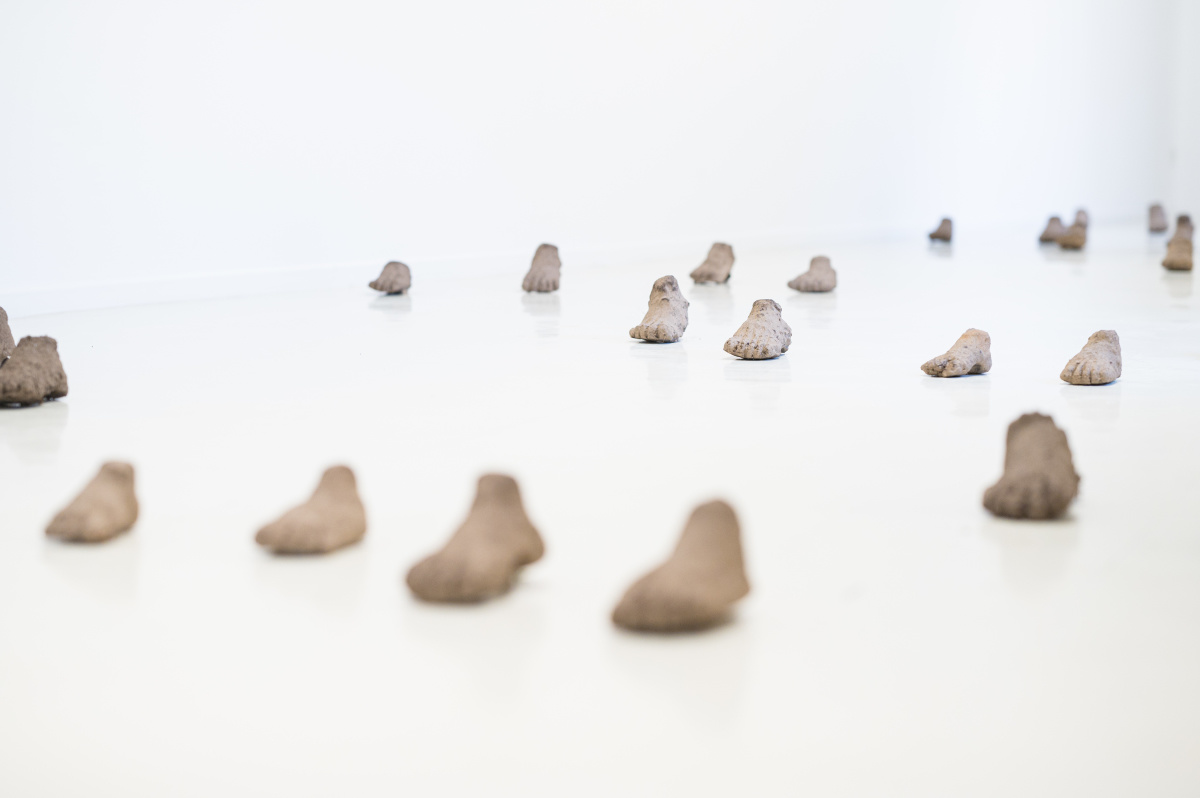 Carolina Fonseca: Terredad, souvenir heureux de nos métamorphoses, 2021, Installation Carolina Fonseca: Terredad, souvenir heureux de nos métamorphoses, 2021, Installation