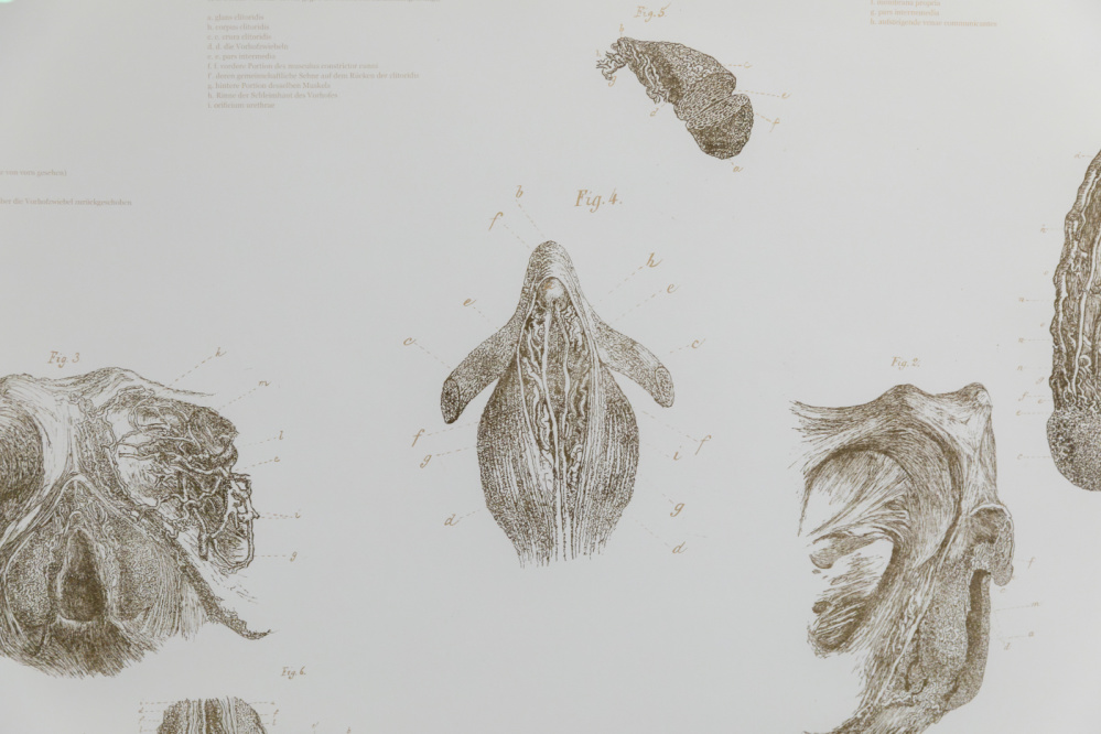 SisyphFYI - Hannah Mevis Lithografie von Hannah Mevis