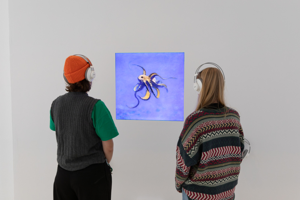 Künstliche Intelligenz und die intelligente Kunst vom Oktopus - Mert Akbal Zwei Personen, die mit Kopfhörern auf vor einer Videoinstallation stehen. Auf dem Bildschirm ist ein Oktopus zu sehen.