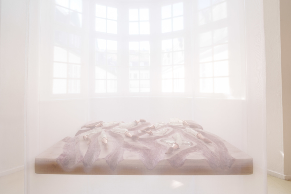 LOOPZONES Suzan Noesen Nahaufnahme eines Ausstellungsobjektes umhüllt von transparentem Stoff